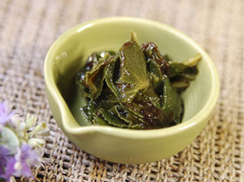 山野草料理：ボーフの佃煮（八寸）[b]京都では高級料亭でしか使われない浜ボーフを海そうめんと共に佃煮に仕立てました。初夏が旬の浜ボーフは風邪の症状緩和に効果があります。