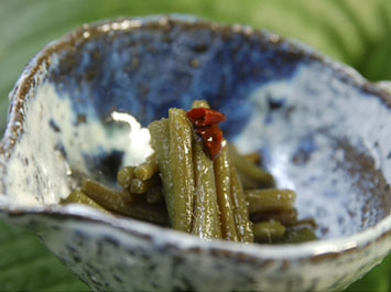先付（山野草料理：ウワバミソウのキンピラ風）[b]また違う日は、暑い日でも食欲が増すようにと「ピリ辛」にウワバミソウをキンピラ仕立てにしてお出ししました。