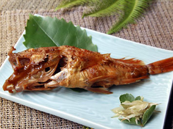 炊き合わせ「煮魚（ガシラ）」[b]煮魚もその日の水揚げにより変わります。この日は磯物の良型のガシラです。大将の上品な味付けもあり、大きなガシラも『美味しかった』と完食いただきました。ハマボウフの葉とミョウガの花を添えています。