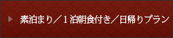 素泊まり／１泊朝食付き／日帰りプラン