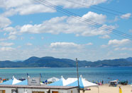 海岸
