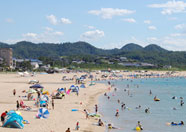 海岸