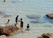 海岸